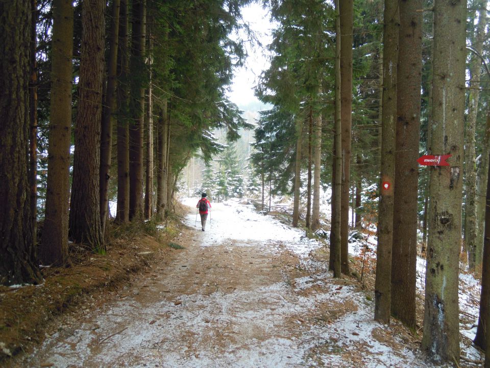 Ambrož pod Krvavcem  - foto povečava