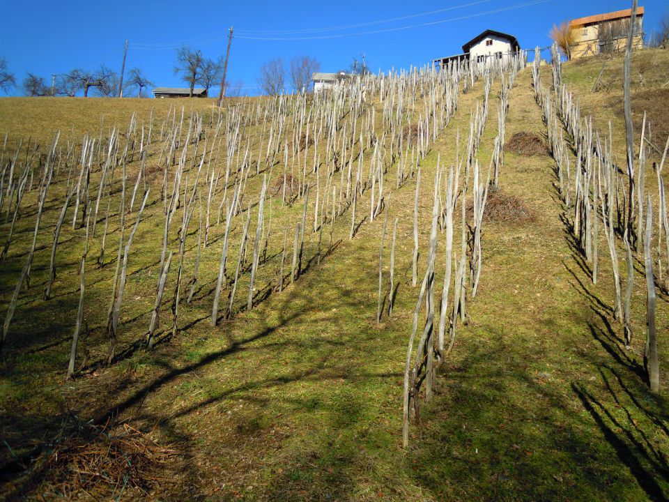 Boštanj - Topolovec - gostilna Dolinšek - foto povečava