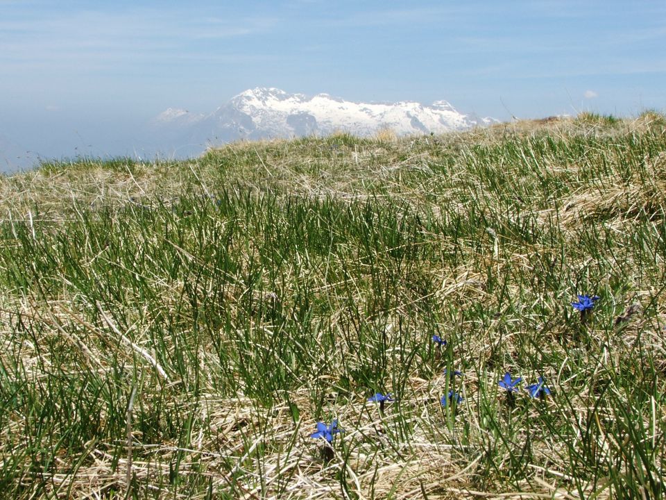 MATAJUR 1642m - foto povečava