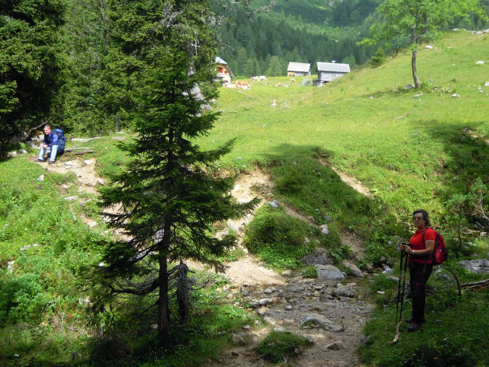 Planina Konjščica 1438m - foto povečava