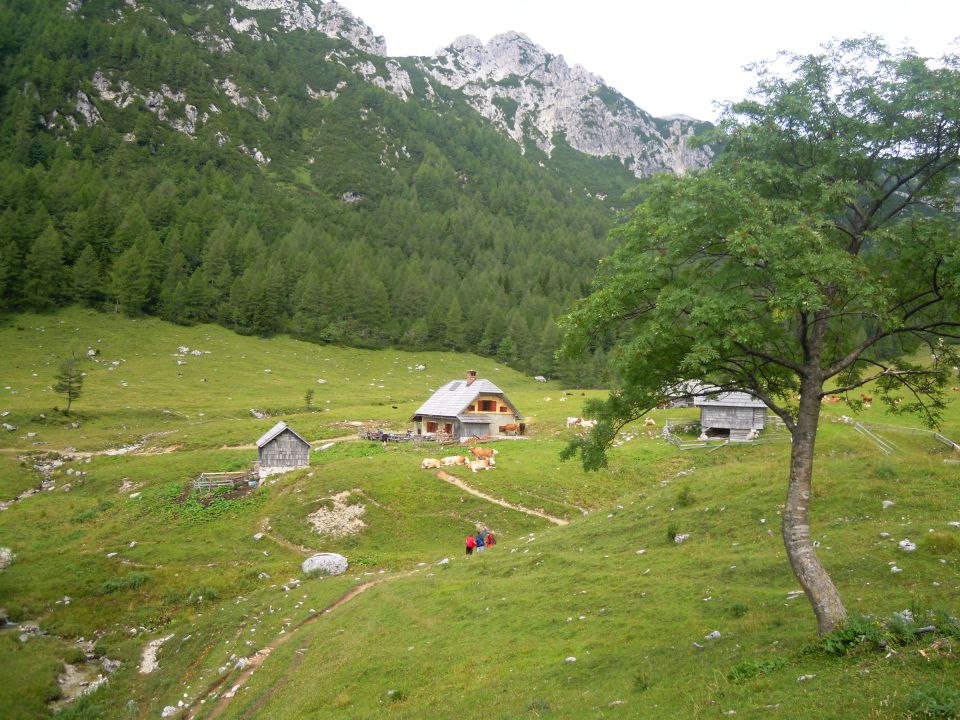 Planina Konjščica 1438m - foto povečava
