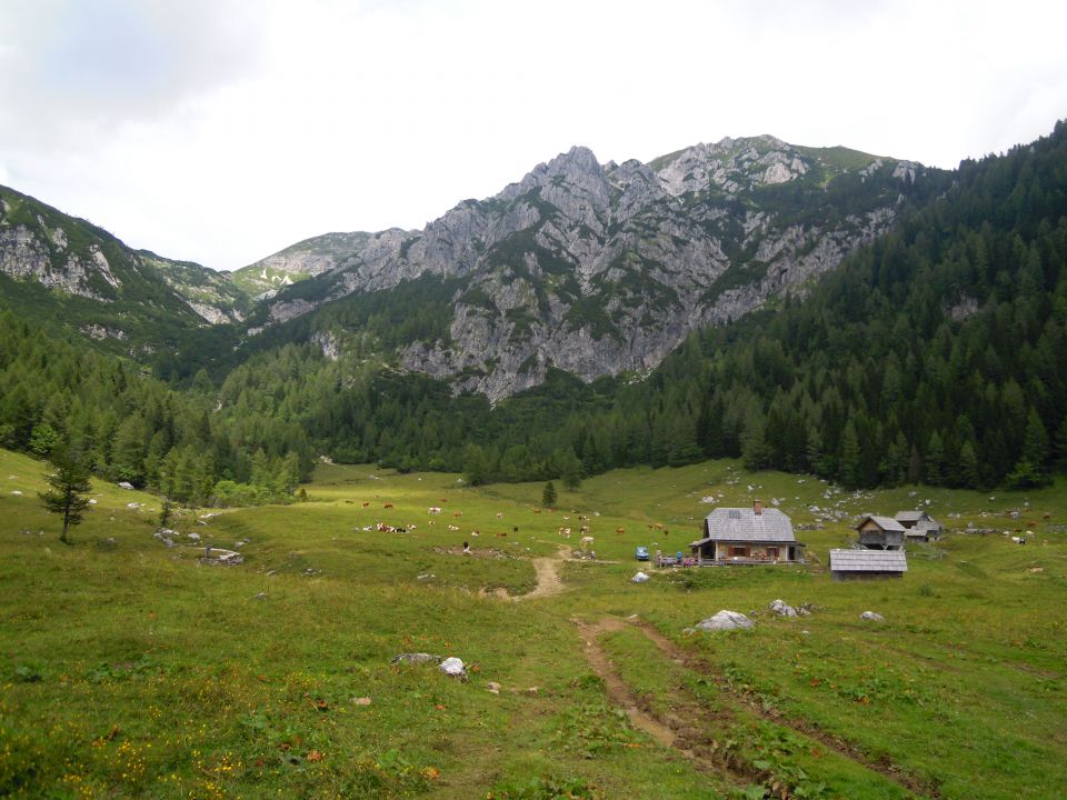 Planina Konjščica 1438m - foto povečava
