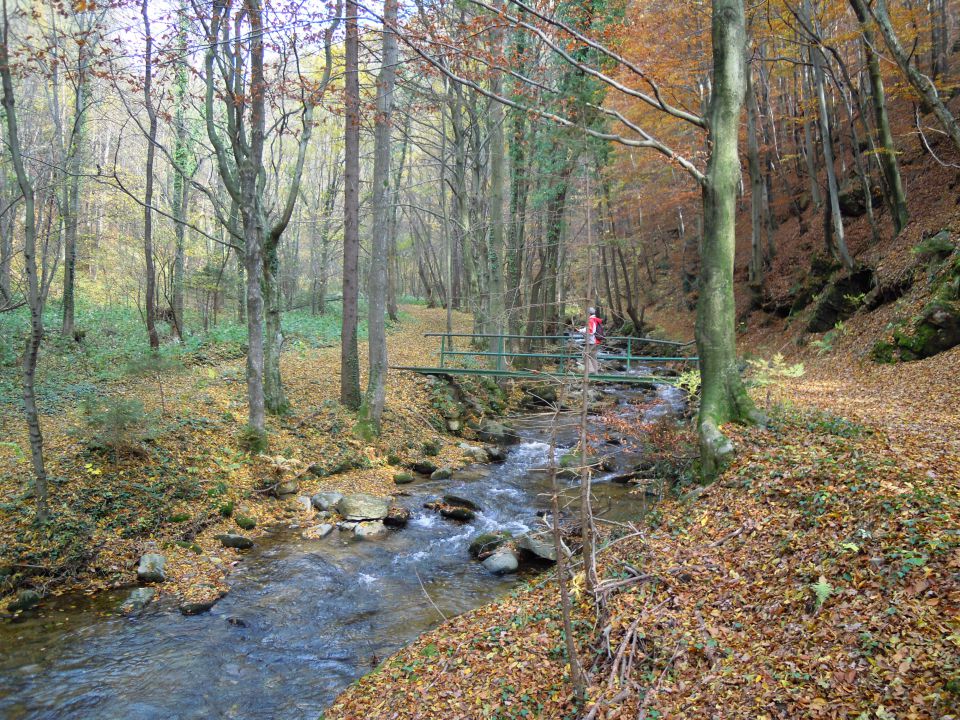 BISTRIŠKI  VINTGAR  november 2011 - foto povečava