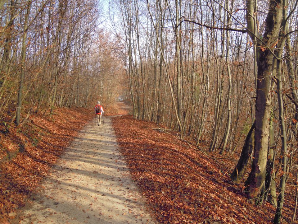 Nedeljsko kosilo na Obolnem - foto povečava