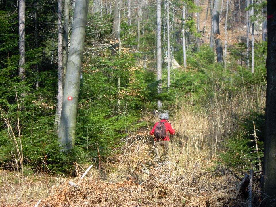 STOLPNIK 1012m - foto povečava