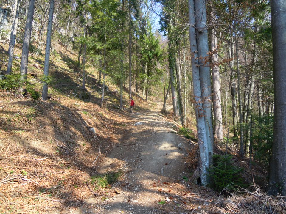 STOLPNIK 1012m - foto povečava