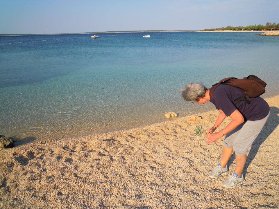 Šimuni otok Pag - foto povečava