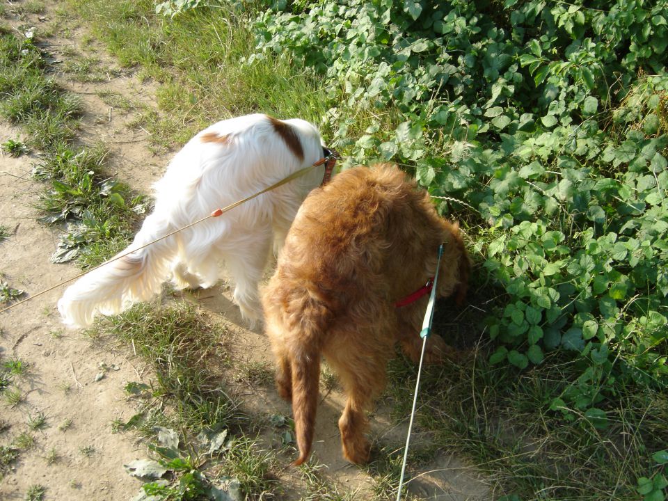 Scotty in Najka - foto povečava