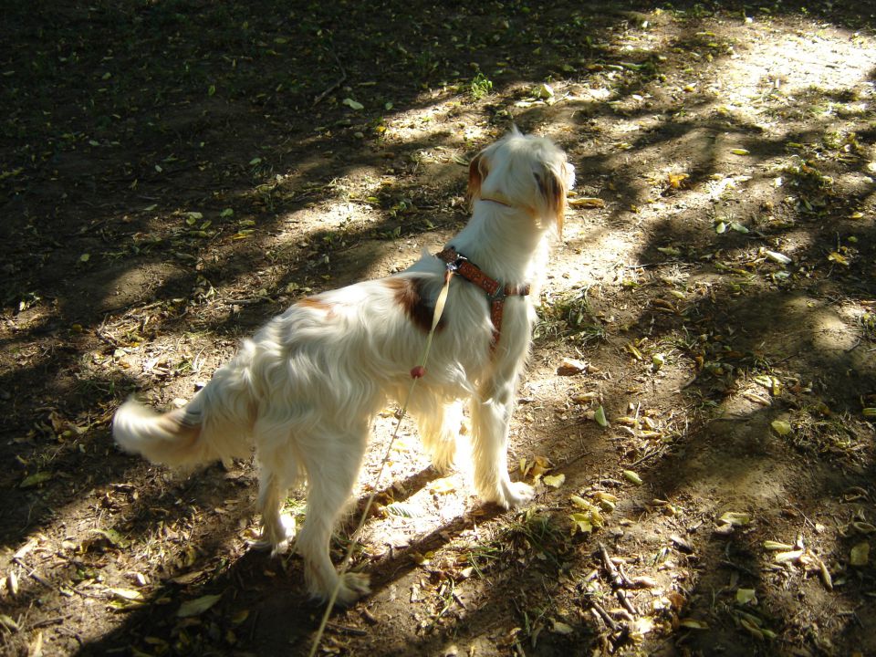 Scotty in Najka - foto povečava