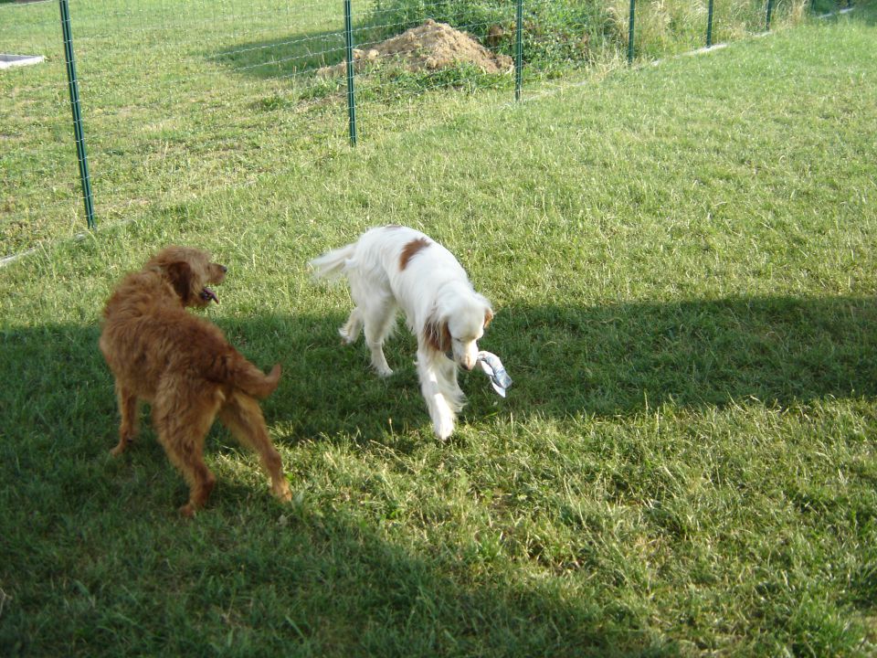 Scotty in Najka - foto povečava