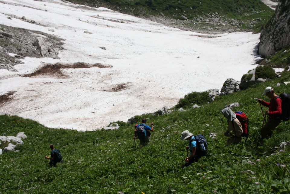 Bavšica 2010 - foto povečava