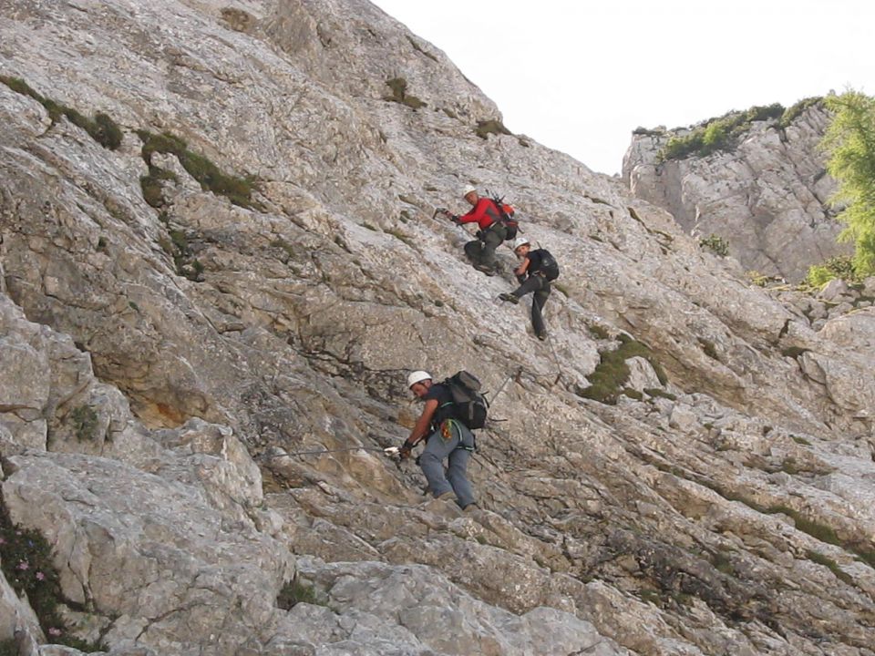 Cijajnik 15.06.12 - foto povečava