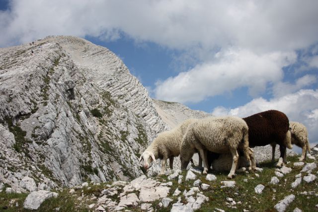 Mala Mojstrovka 07.07.2012 - foto