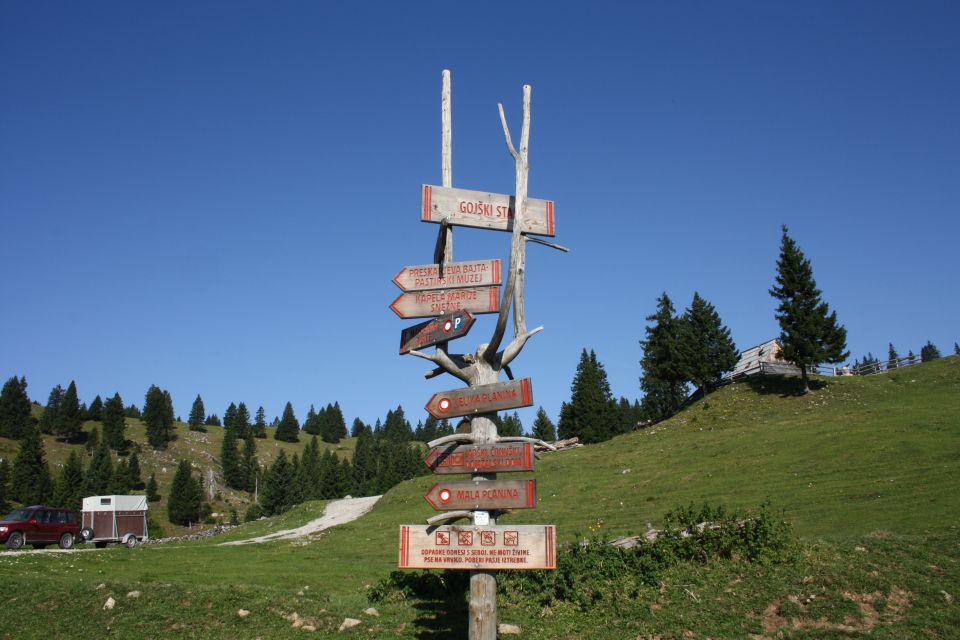 Velika planina 25.08.2012 - foto povečava