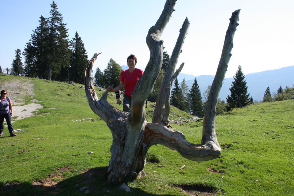 Velika planina 25.08.2012 - foto povečava