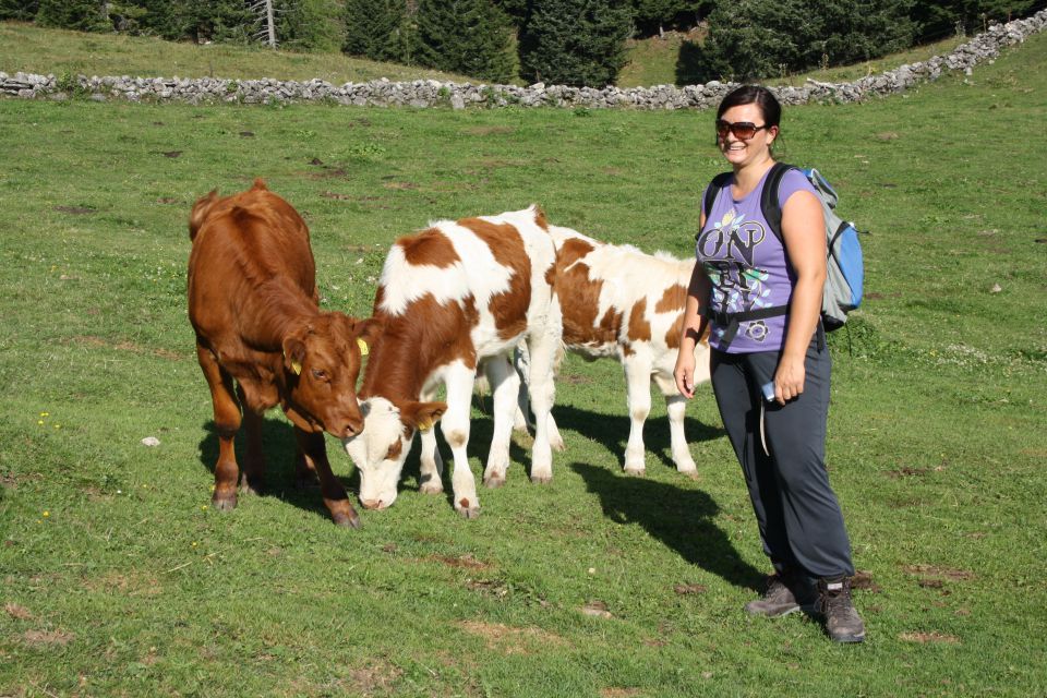 Velika planina 25.08.2012 - foto povečava