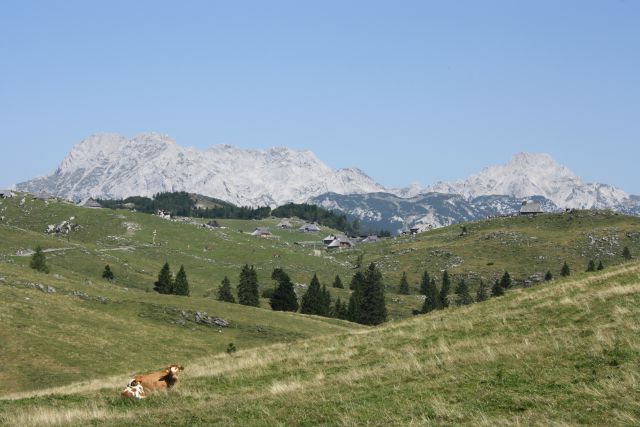 Velika planina 25.08.2012 - foto