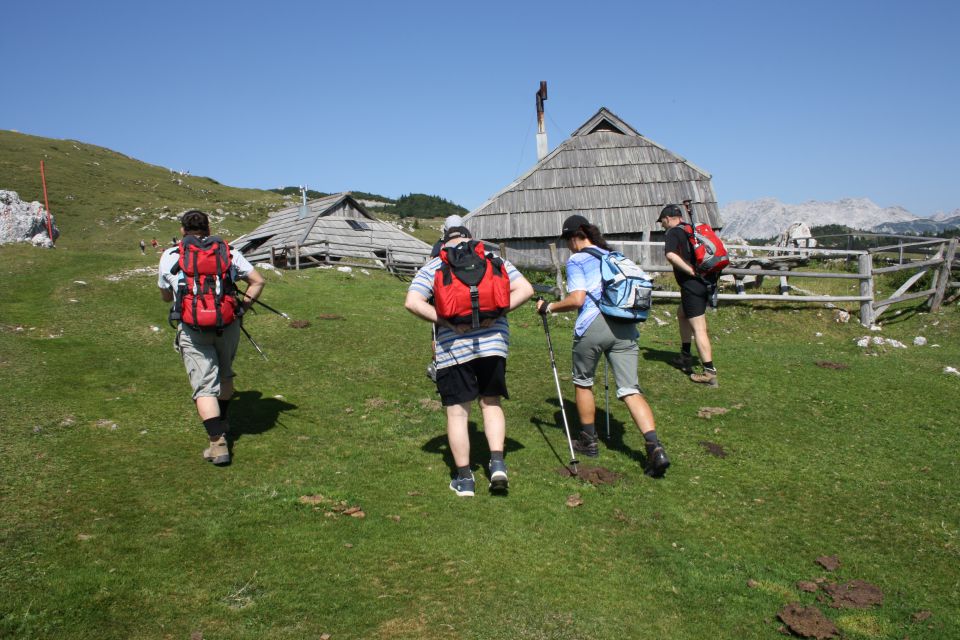 Velika planina 25.08.2012 - foto povečava