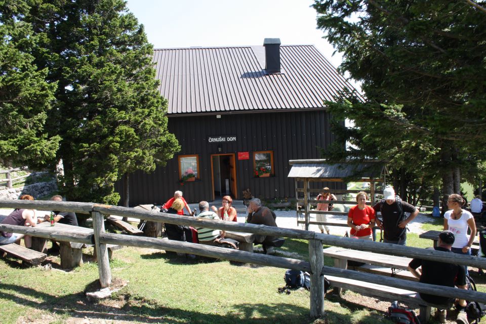 Velika planina 25.08.2012 - foto povečava