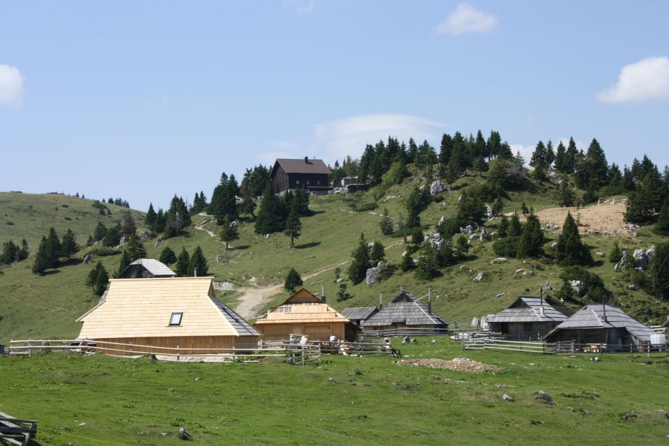 Velika planina 25.08.2012 - foto povečava