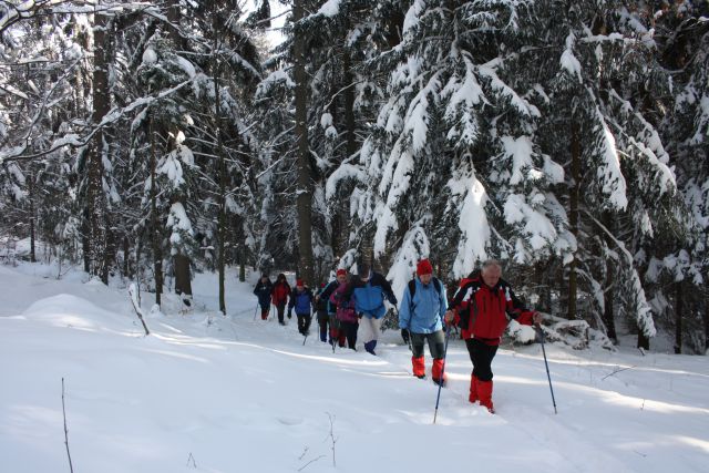 Fram MB koča 19.01.2013 - foto