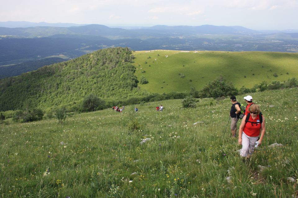 Vremščica,Slavnik 22.06.2013 - foto povečava