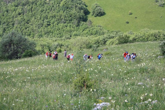 Vremščica,Slavnik 22.06.2013 - foto