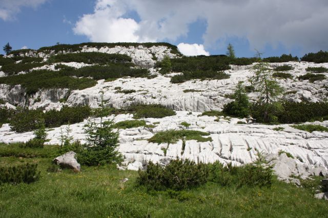 Viševnik 20.07.2013 - foto