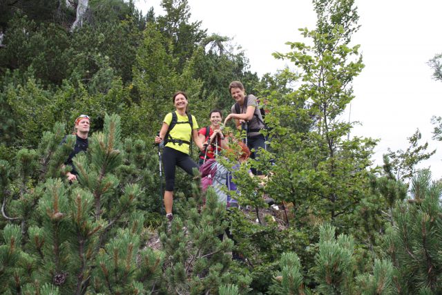 Nemške glave 10.08.2013 - foto