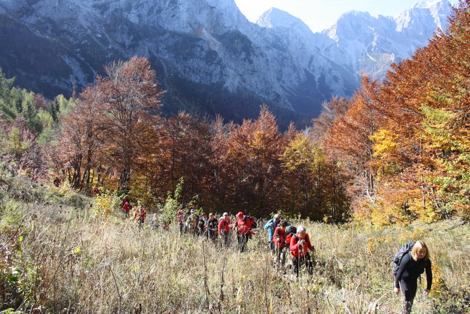 Strelovec 19.10.2013 - foto povečava