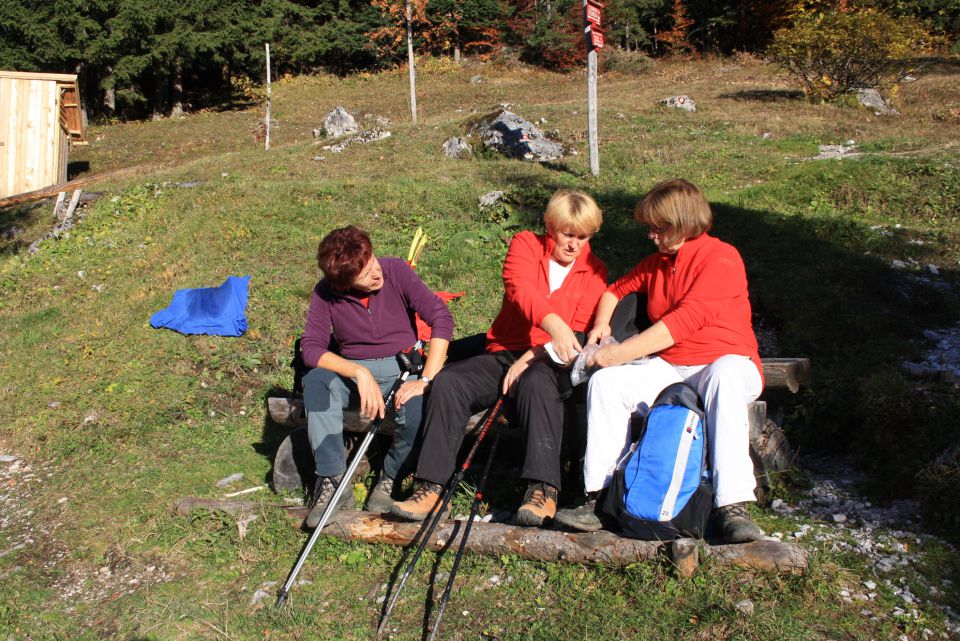 Strelovec 19.10.2013 - foto povečava