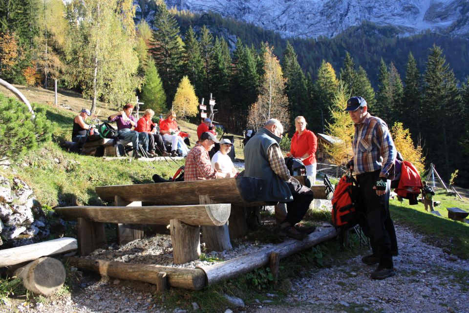 Strelovec 19.10.2013 - foto povečava