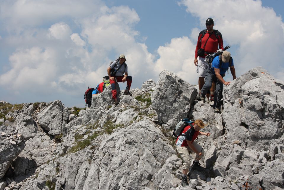 Košutica 19.07.2014 - foto povečava