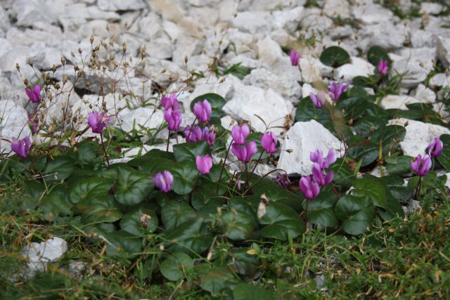 Kalška gora 20.09.2014 - foto