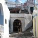 Fira