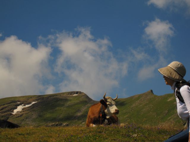 Grindelwald