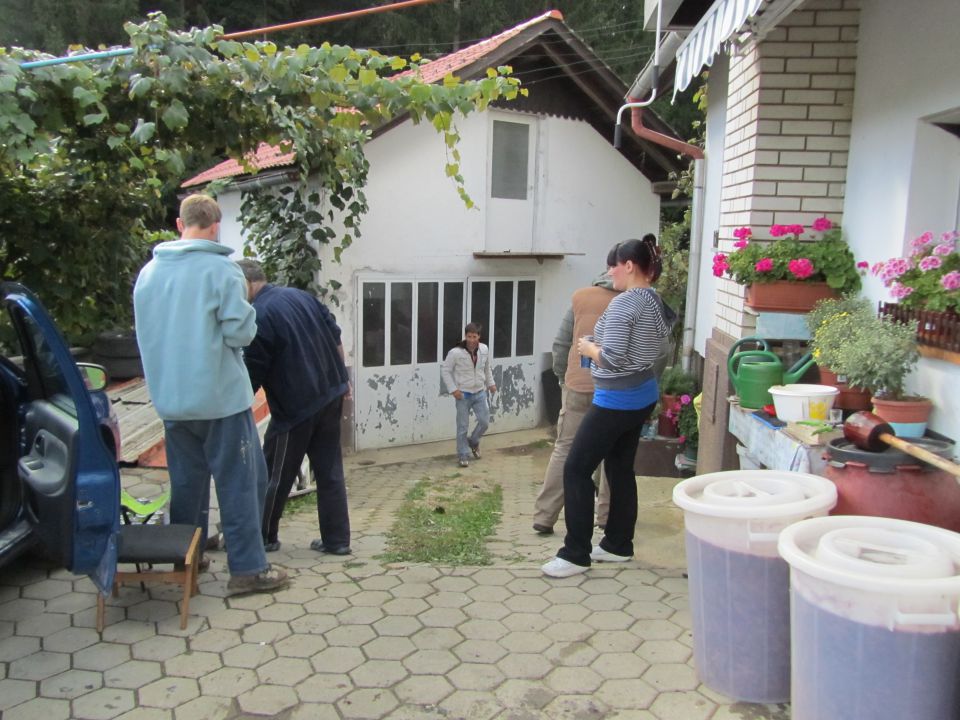Trgatev 2011 - foto povečava