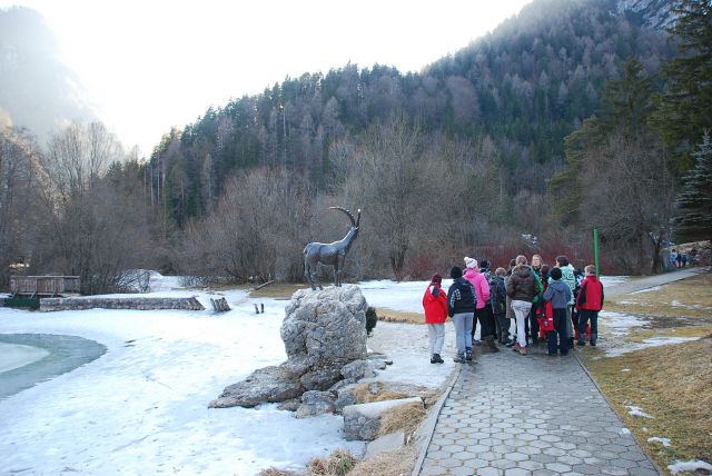 ZŠN Kranjska Gora 2012 - foto