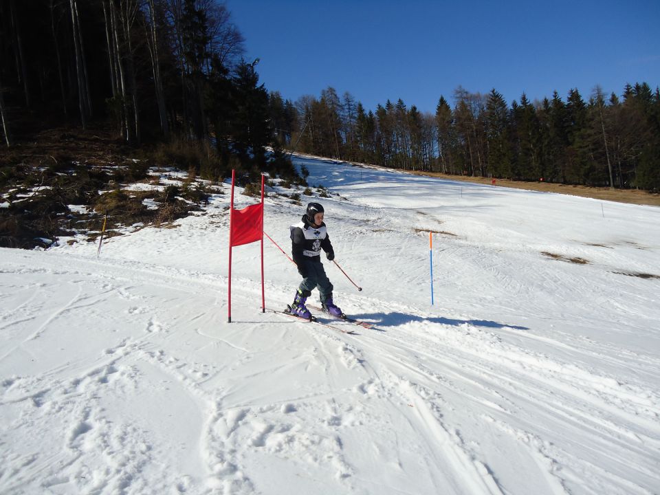 ZŠN Kranjska Gora 2012 - foto povečava