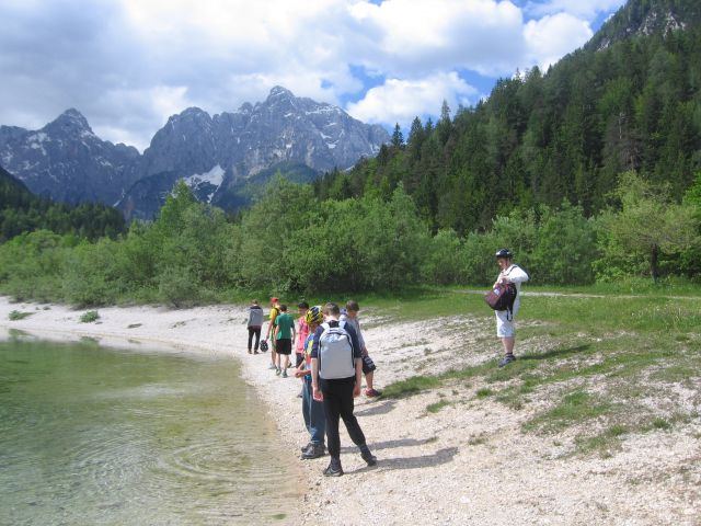 Gorniška šola v naravi - Planica 2013 - foto