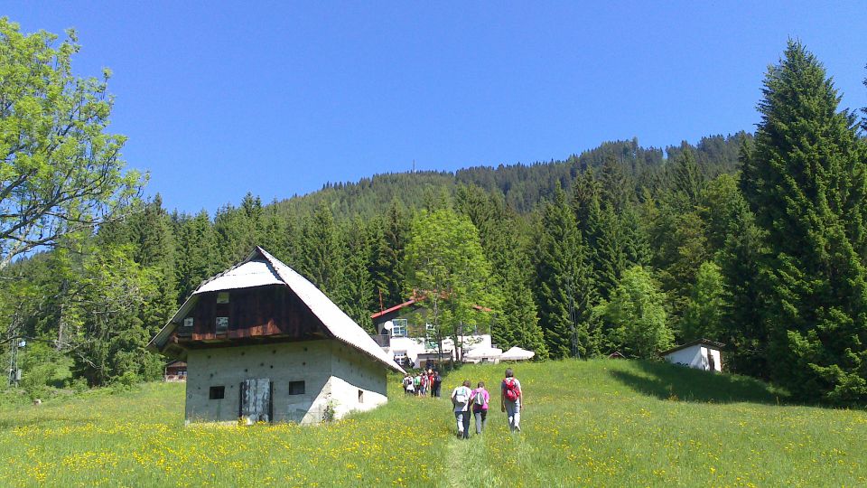 Gorniška šola v naravi - Planica 2013 - foto povečava
