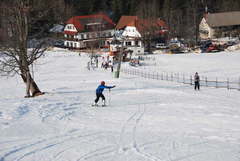 Zimska šola v naravi / Bodental 2014 - foto povečava