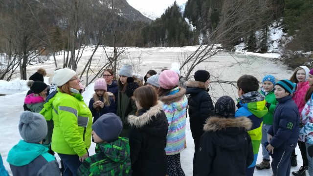 Zimska šola v naravi 2018 - foto