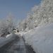 Strmica, 5.12.2010
