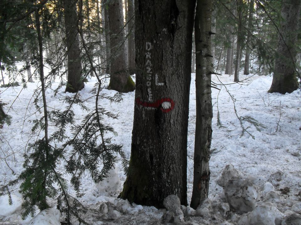 LPP, Ratitovec itd., naši konci... - foto povečava