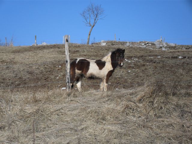 Od Zagorja do Vrha Korena - foto