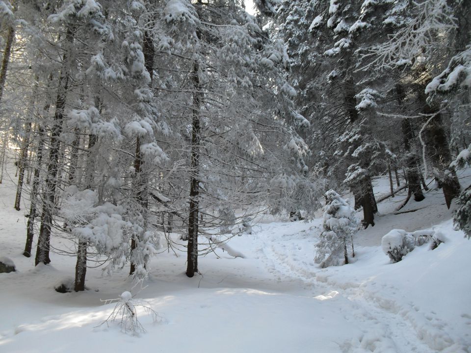 Zimski pohod na Blegoš, 5.3. 2011 - foto povečava