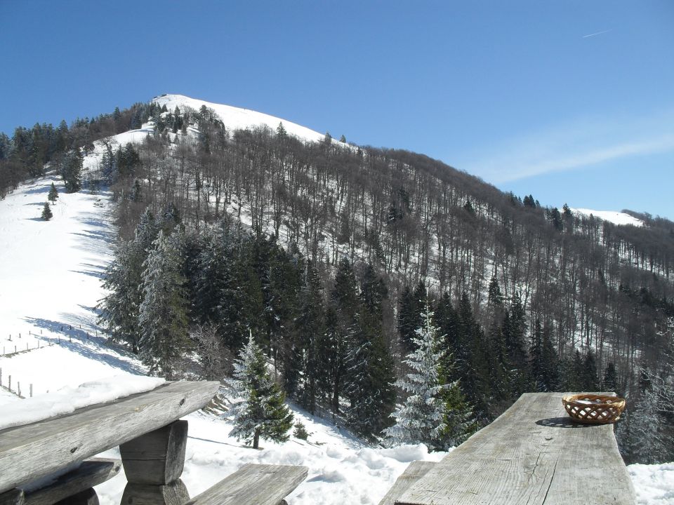 Zimski pohod na Blegoš, 5.3. 2011 - foto povečava