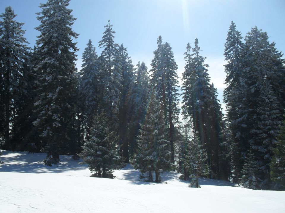 Zimski pohod na Blegoš, 5.3. 2011 - foto povečava