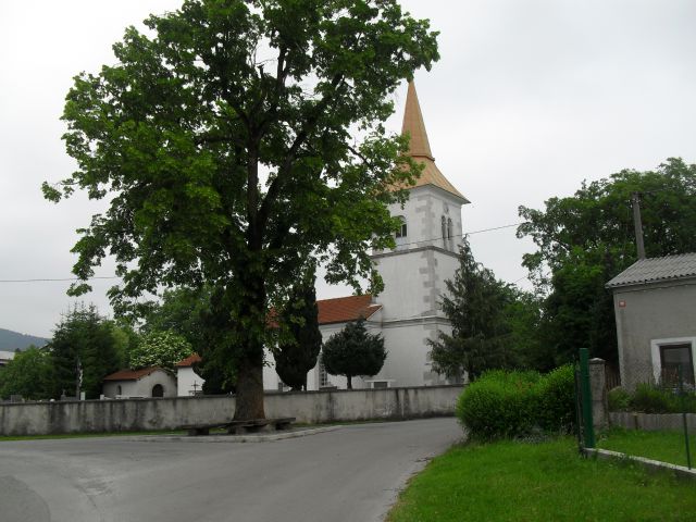 Palčje